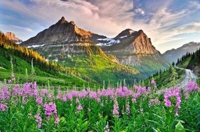 Prayer: Canticle of Brother Sun and Sister Moon by St. Francis of Assisi